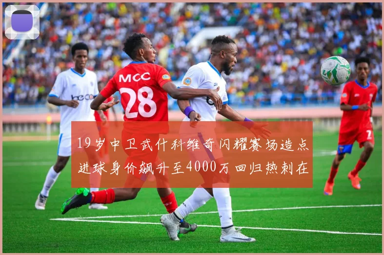 19岁中卫武什科维奇闪耀赛场造点进球身价飙升至4000万回归热刺在即