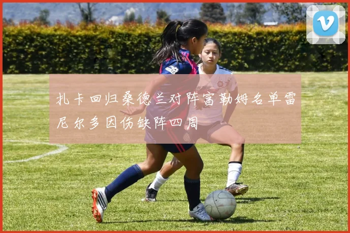 扎卡回归桑德兰对阵富勒姆名单雷尼尔多因伤缺阵四周